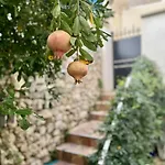 La Maisonnette Holiday home Bages (Aude)