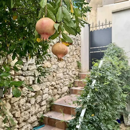 La Maisonnette Bages (Aude)