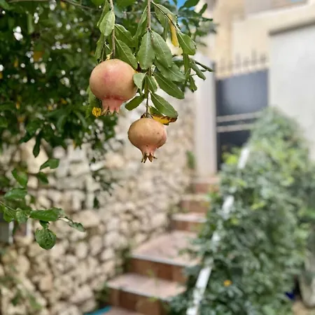 La Maisonnette Casa de Férias Bages (Aude)