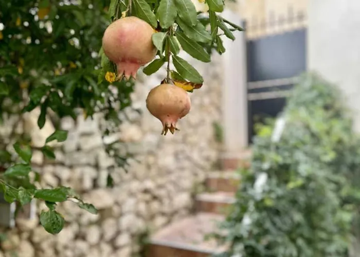 La Maisonnette Vakantiehuis Bages (Aude)